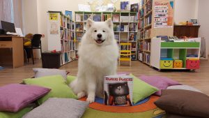 Terapijas suns Franko ar Roba Skotona grāmatu "Runcis Puncis un bibliotēkā nenodotā grāmata".
