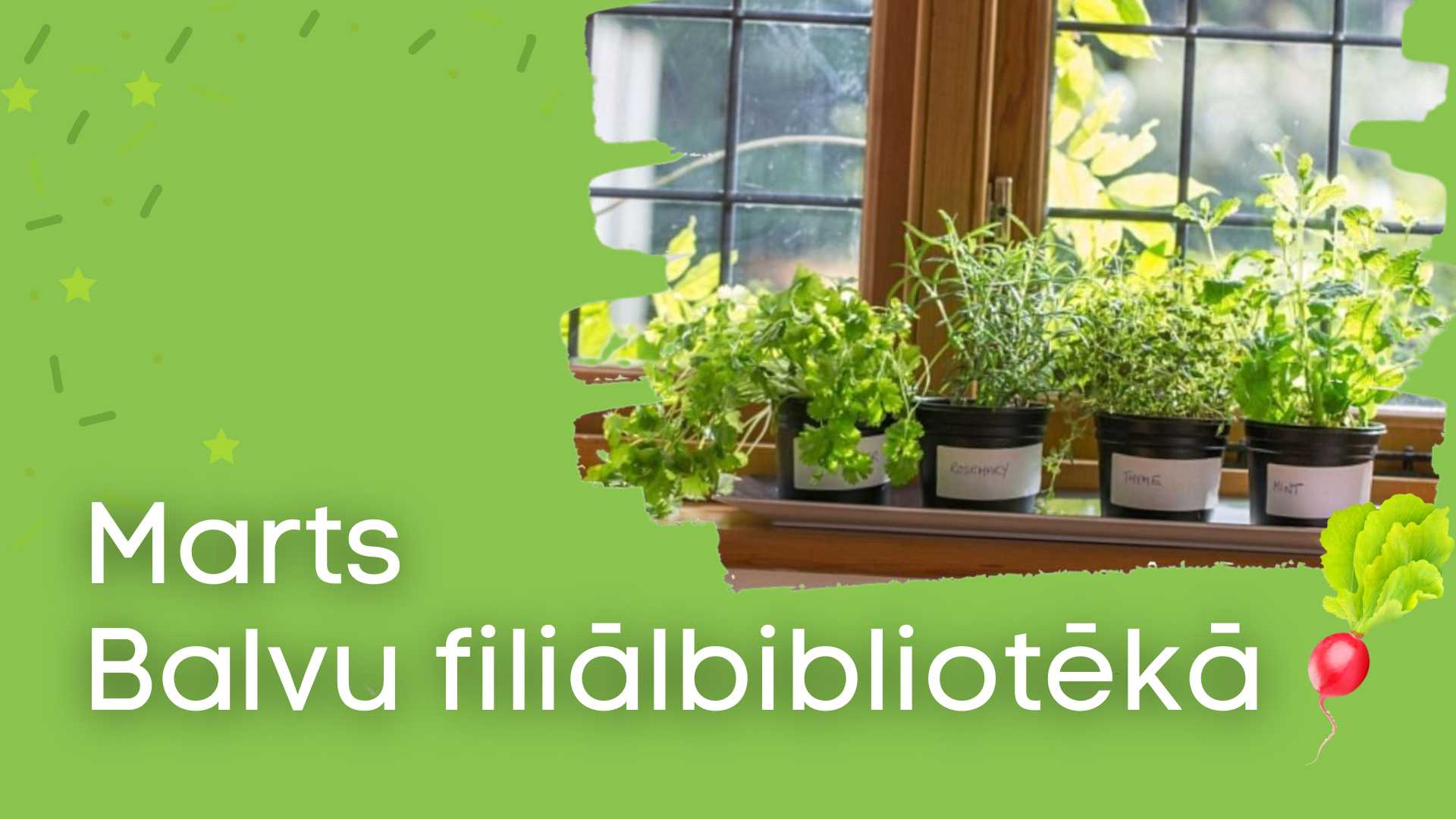 LNerB | Marts Balvu filiālbibliotēkā - Latvijas Neredzīgo bibliotēka