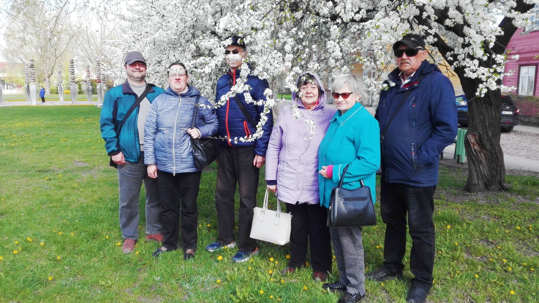  Saulainajā pavasara dienā grupa nolēma nofotografēties pie ziedošas aličas.