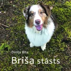 Grāmata vieglajā valodā "Briša stāsts"