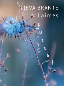 Vāks grāmatai "Laimes putekļi"