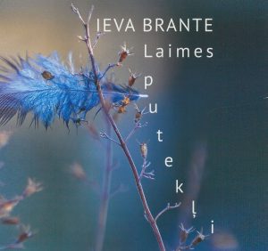 Vāks grāmatai "Laimes putekļi"