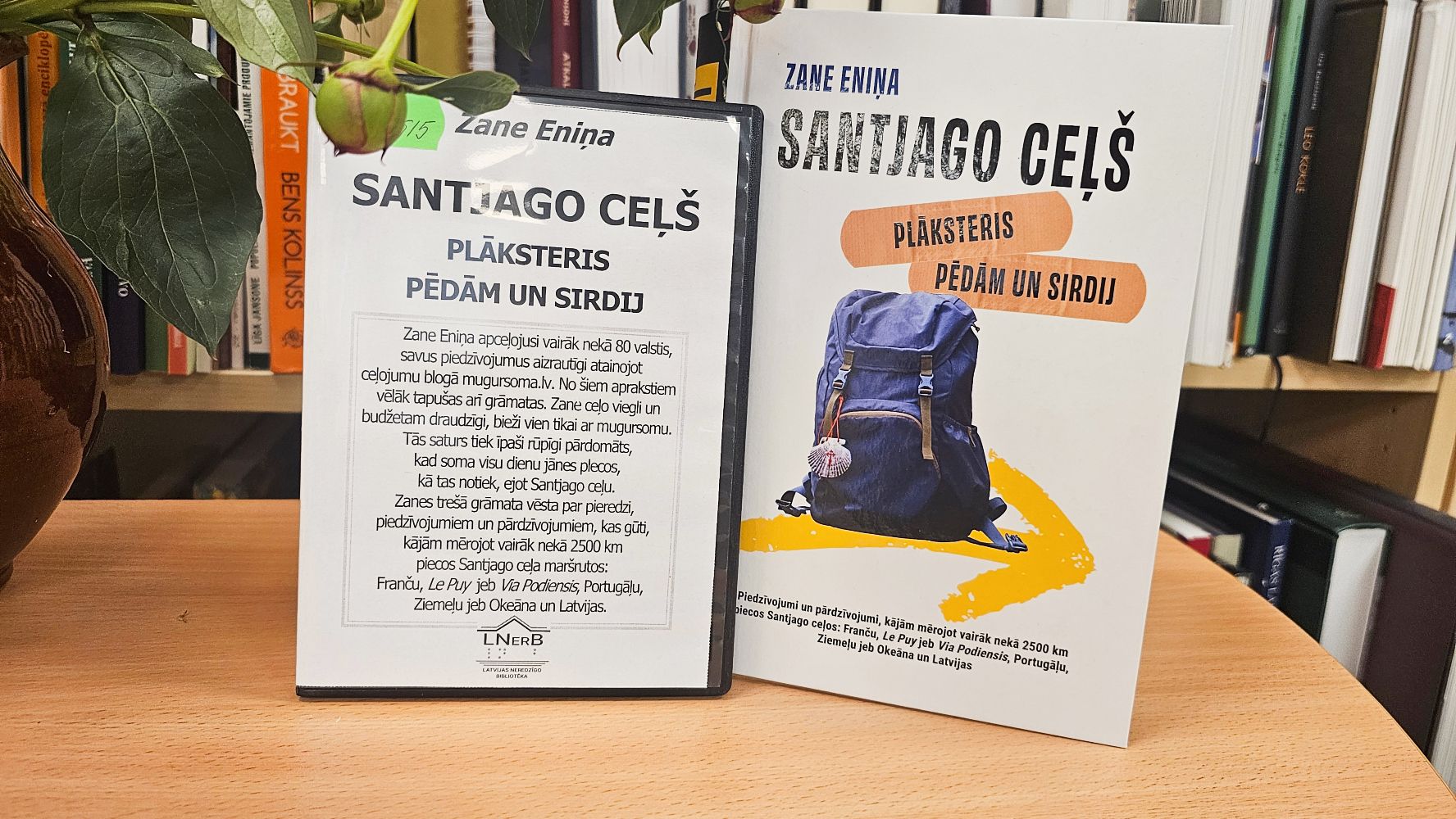 Zane Eniņa "Santjago ceļš : plāksteris pēdām un sirdij" audio formātā un parastajā iespiedrakstā