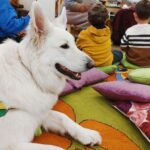 Lasām kopā ar suni titulbilde