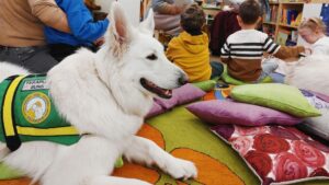 Lasām kopā ar suni titulbilde