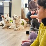 Terapijas suņi Milka un Nena pacietīgi gaida savu kārtu