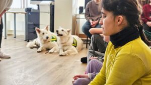 Terapijas suņi Milka un Nena pacietīgi gaida savu kārtu