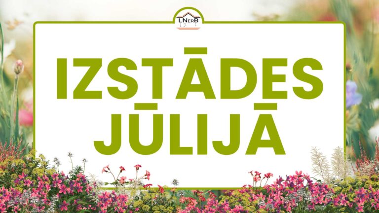 Izstādes jūlijā titulbilde