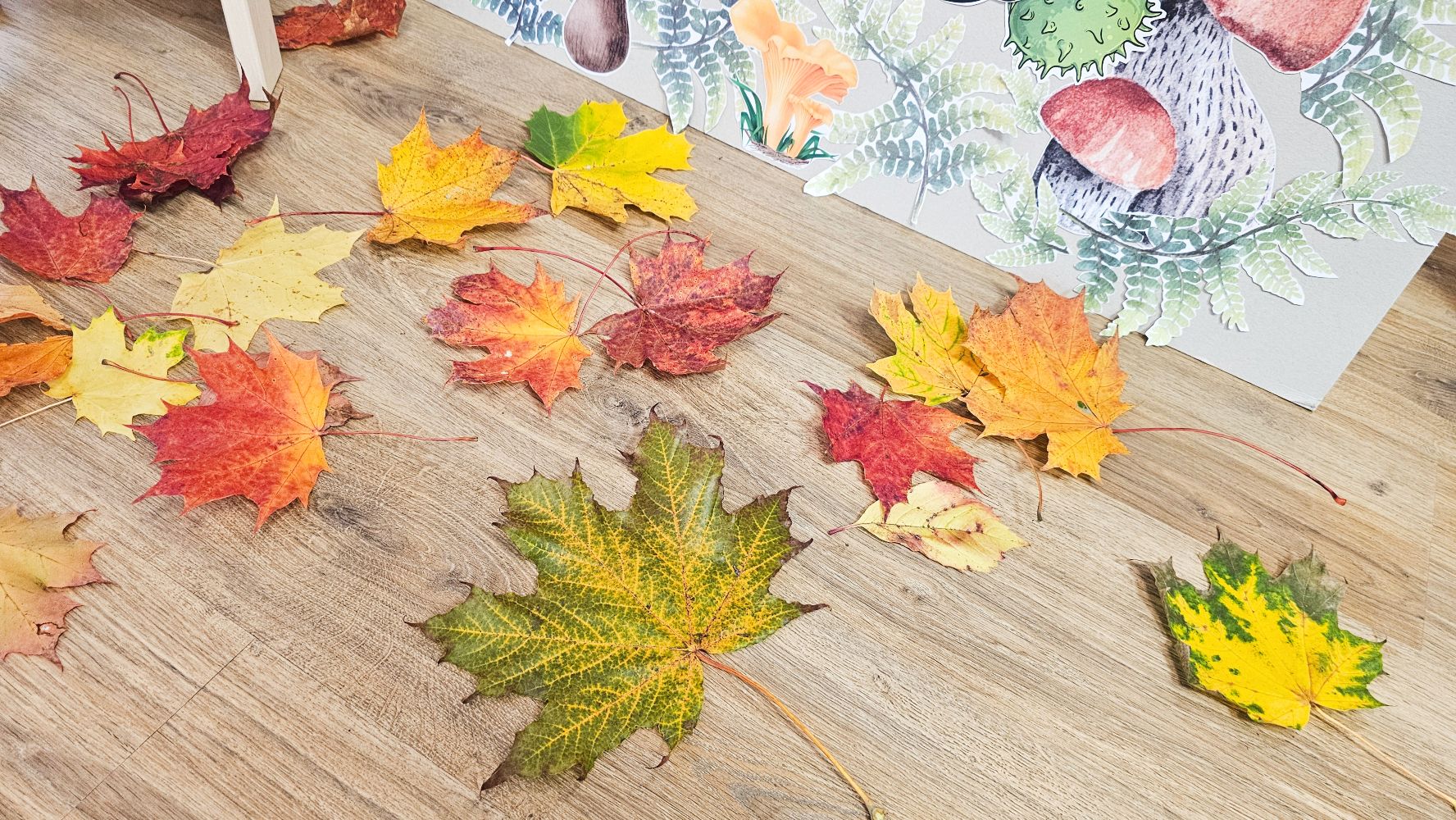 Rudens bibliotēkā